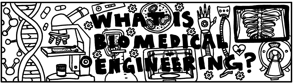 What Is Biomedical Engineering Banner